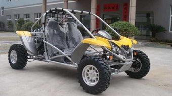 国产版蹦蹦车避坑视频,安全驾驶，轻松出行